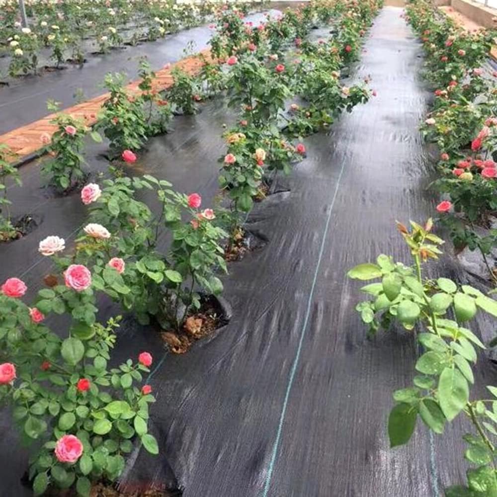4 x 10 m / 13.1 x 32.8 ft Weed Control Membrane, Weed Control Woven Fabric, Ground Cover Sheet, 100 GSM, UV Stabilised, Weed Barrier Mat for Gardens, Patios, Flower Beds, Landscaping (Black) + 20 Pegs